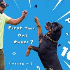 How to Train Your Dogs Basic Obedience in 10 mins | Dog Training Lesson 1 | Chatty Rotty [IN TAMIL]