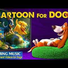 Dog Cartoon: Best Relaxing Videos for Dogs When Home Alone – Dog TV & Anti-Separation Music for ..