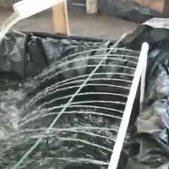 11/20/2025 Video#24 Pub ntseg/Feeding fish,  working progress 