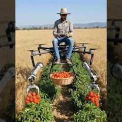“Smart Drone Harvesting Tomatoes | Future of Modern Farming”