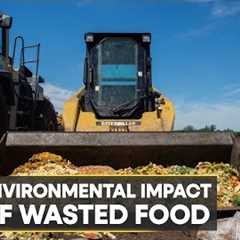 WION Climate Tracker | Global food wastage poses major environmental problem