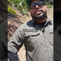 How I Remodeled This Kidney Pool!! #landscape #construction #contractor