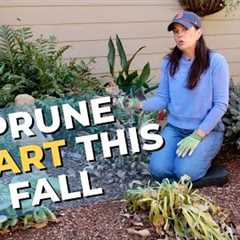 Fall Shade Garden Guide: Prune Smart, Plant Smart