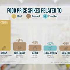 Extreme weather events drive up food prices, study shows