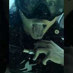 Sunday Funday! #diving #scuba #scubadiving #underwater #underwaterdiving #water #travel