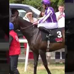 The horse who loves to misbehave!