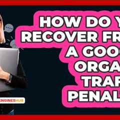 How Do You Recover From A Google Organic Traffic Penalty? - SearchEnginesHub.com