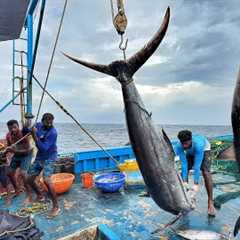 Ohhh! The First Day We Stayed In The Deep Sea & Caught A Lot Of Tuna Fishes | Day-01 | S07-EP01