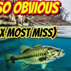 Why You’re Not Getting Bit—3 Fixes That Work