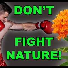 Discover the Secrets of ECOLOGICAL Landscape Design!