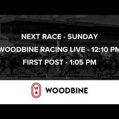 Woodbine Racetrack - Saturday, November 23, 2025
