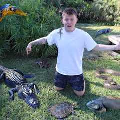 THE CRAZIEST BACKYARD REPTILE ZOO!