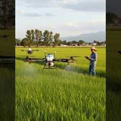 Agriculture Drone Spraying in Rice Field | Modern Farming Technology
