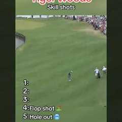 Top 5 Tiger Woods golf shots - Number 5 holeout from long
