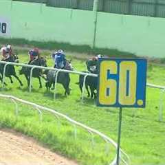 REFRESHMENT : THE Y.S.SURENDER MEMORIAL TROPHY (27)