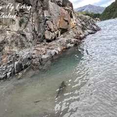 Backcountry Fly Fishing, South Island, New Zealand, November 2025