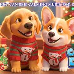 Christmas Cartoons for Dogs, in Colors they can See ❄️🐶 Ideal for Hyperactive Dogs 🎵
