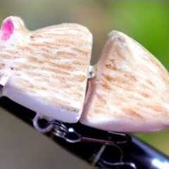 Tiny Mouse Lure | One Day Build to Catch