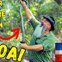 I Found A WILD Never Before Seen Snake In The Dominican Republic