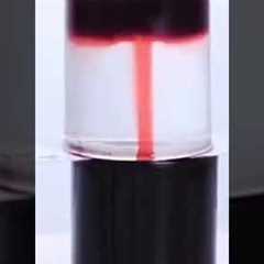 amazing science experiment | shorts | science experiment #viral #science #youtubeshorts