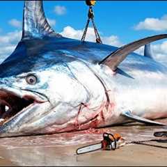 The 50-Ton Giant Swordfish Catch – Extreme Longline Fishing Documentary