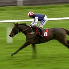 Sonic Pioneer 25/1 for Triumph Hurdle following taking debut | Racing TV