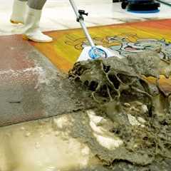 Tom and Jerry Rug Found Under Layers of Mud - You Won’t Believe the Result! - Carpet Cleaning ASMR