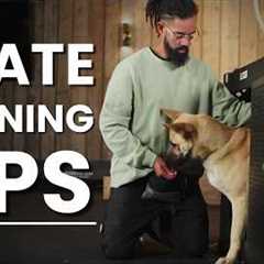 Top Tips for Crate Training