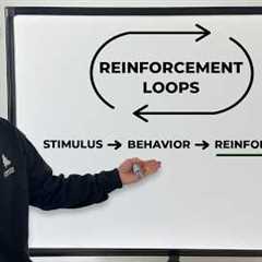 How you accidentally made your dog reactive