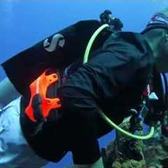 Amazing oceans scuba diving trip