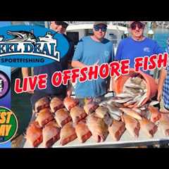 Thanksgiving Bottom Fishing 🎣 