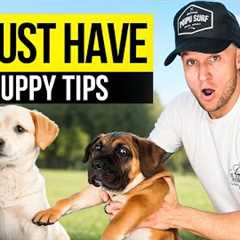 Puppy TRAINING - The FIRST 3 Things To Teach Any Puppy!