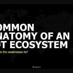 Peeling Back the Plastic: Finding 0Days in IoT Devices