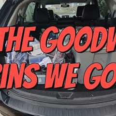 eBay Everyday - Thrift Haul - Goodwill Outlet Bins & More!