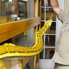 (SNAKE STRIKES ME) 🐍 EVERYTHING WENT WRONG😅