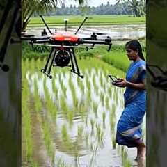 Future of Farming: Woman Farmer Uses Drone Technology in Paddy Field! #ytshorts #viral #bgthinks