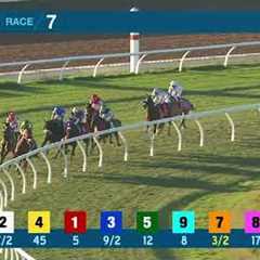 Thebestisyettobe (IRE) wins race 7 at Del Mar 11/24/25
