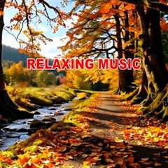 Reduce stress and feeling calm music with beautiful autumn 
