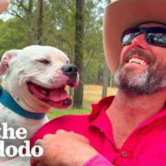 Aggressive Dog Just Wanted Someone To Be Proud Of Him | The Dodo