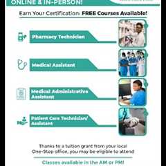 Overview of Our Career Training Program 🎓