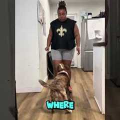 How to Teach Your Dog Kitchen Boundaries (Fast & Calm Training Tip)