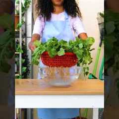 Easy gardening hacks for beginners! 🌿