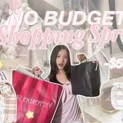 BLACK FRIDAY NO BUDGET Spending Spree 🧾⟡˖ ࣪ 🛒| $500 on Victoria secret, hollister, jellycats, etc