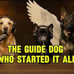 The First Guide Dog Joins From The Rainbow Bridge 