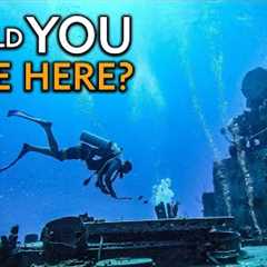 Top 10 Unforgettable National Park Scuba Dives