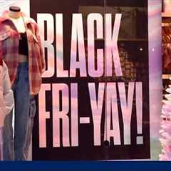 Black Friday shopping tips for online and in-store deals