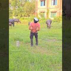 Building Wooden Log Cabin in Forest 🌲🥳👌😱 | Survival Hause Step by Step