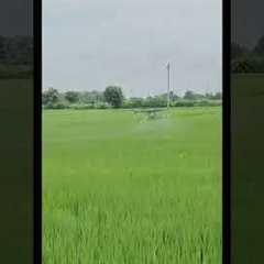 Drone Technology in Agriculture | Smart Farming with Drones 🌿🚁