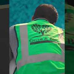 Concrete or fiberglass pool #uae #landscape #poolside Deisgn , build & maintain your garden and ..