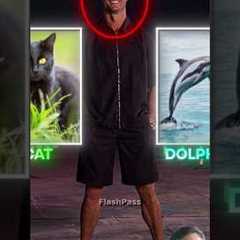 #shorts​ #football​ #viral​ #viralvideo​ #trending​ #foryou​ #fyp​ #ronaldo​ #cristianoronaldo​#cat​